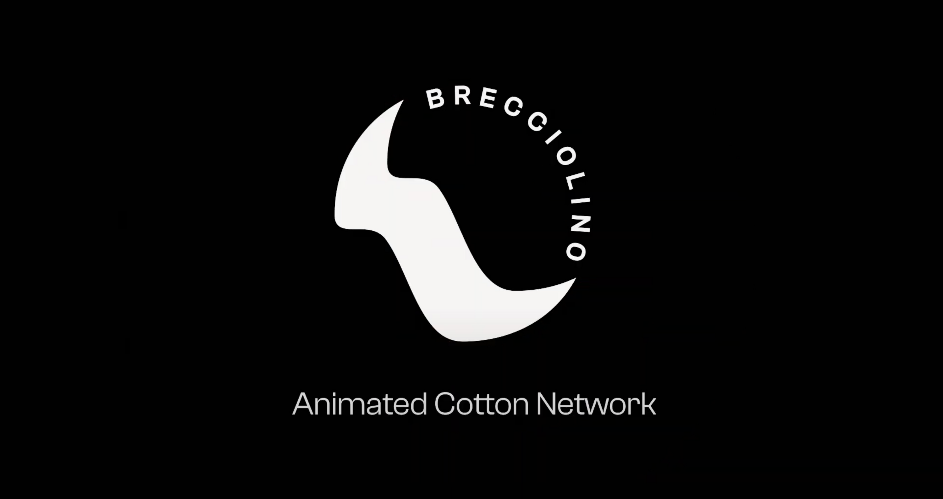 Video presentazione di Brecciolino: chi siamo, illustrazione del funzionamento e del processo produttivo